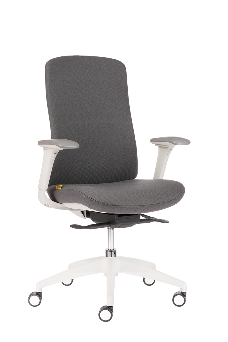 ergonomichen-ofis-stol-edwin-dark-grey-antares-bg-net-4- - hopoffice.com