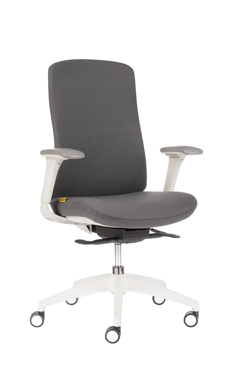 ergonomichen-ofis-stol-edwin-dark-grey-antares-bg-net-4- - Хоп Офис