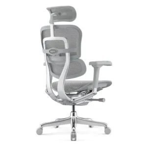 ergonomichen-stol-ergohuman-elite-2-grey-antares-bg-net-4 - Хоп Офис